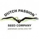 Семена марихуаны DUTCH PASSION - из Нидерландов. 