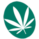 DUTCH GREEN SEEDS - Семена марихуаны из Голандии