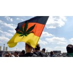 Германия легализировала коноплю в медицинских целях
