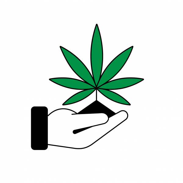 Замочил семя марихуаны книга о марихуане