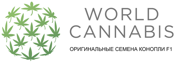 Как купить элитные семена конопли в украине марихуана в каком списке